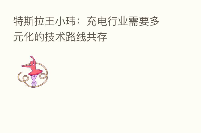 特斯拉王小玮:充电行业需要多元化的技术路线共存