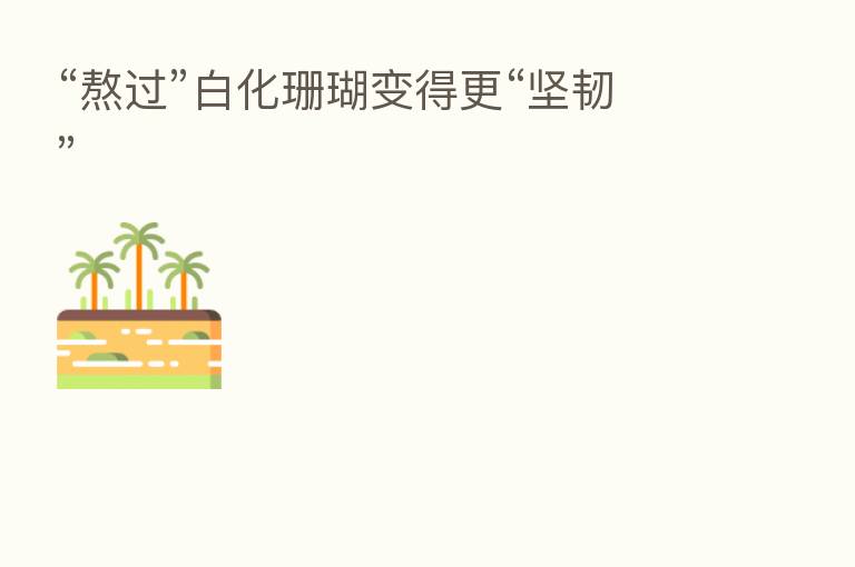 “熬过”白化珊瑚变得更“坚韧”