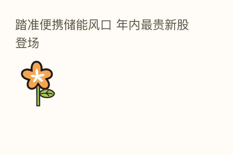 踏准便携储能风口 年内   贵新股登场