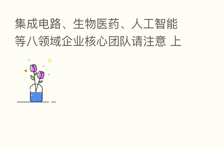 集成电路、生物医药、人工智能等八领域企业核心团队请注意 上海要发奖励了