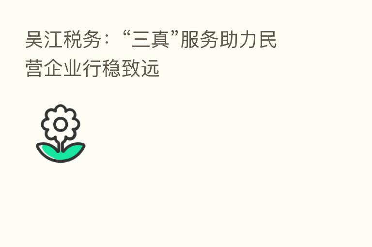 吴江税务：“三真”服务助力民营企业行稳致远