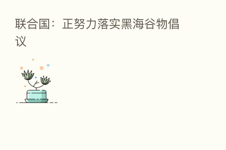 联合国:正努力落实黑海谷物倡议