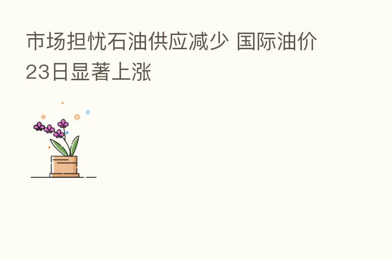 市场担忧石油供应减少 国际油价23日显著上涨