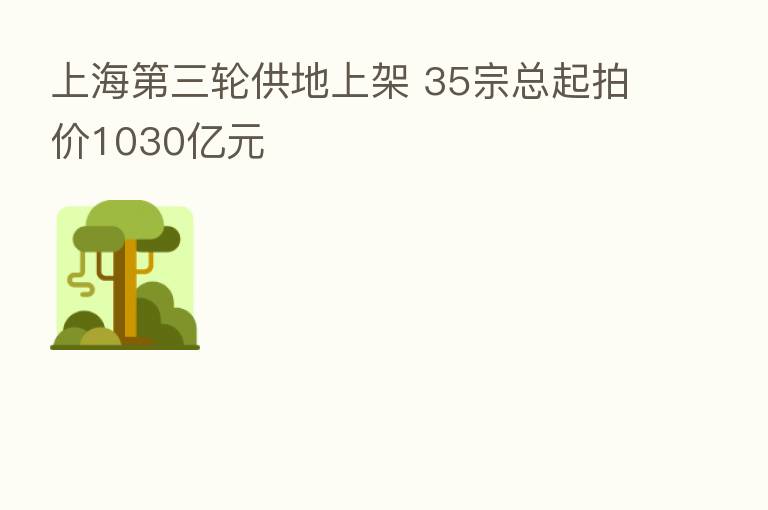 上海   三轮供地上架 35宗总起拍价1030亿元
