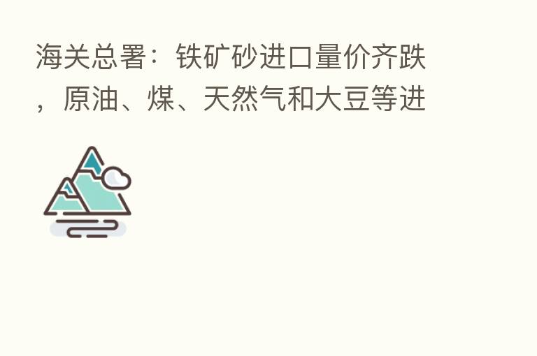 海关总署:铁矿砂进口量价齐跌,原油、煤、天然气和大豆等进口量减价扬