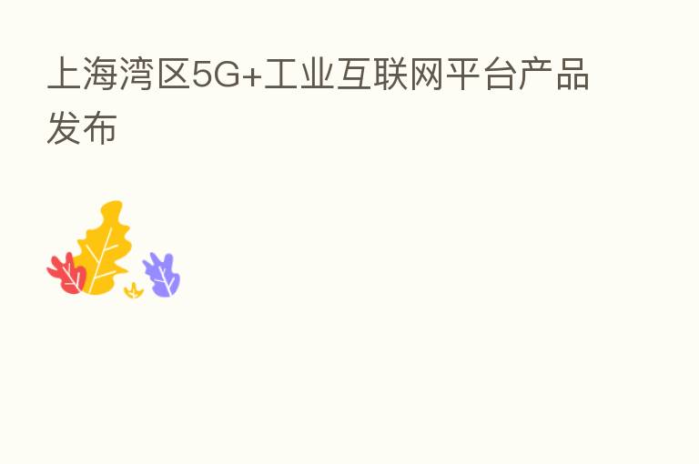 上海湾区5G+工业互联网平台产品发布