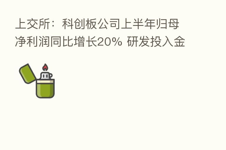 上交所：科创板公司上半年归母净利润同比增长20% 研发投入金额合计达460.54亿元