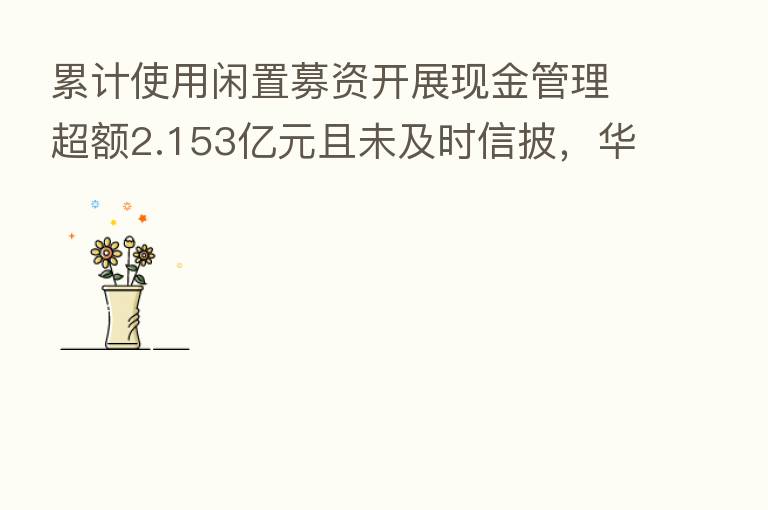 累计使用闲置募资开展现金管理超额2.153亿元且未及时信披，华兴源创被江苏省证监局出具警示函