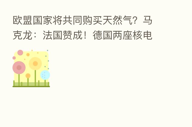 欧盟国家将共同购买天然气?马克龙:法国赞成!德国两座核电站延迟退役