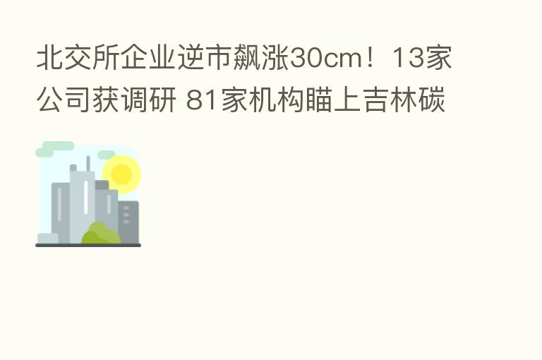 北交所企业逆市飙涨30cm!13家公司获调研 81家机构瞄上吉林碳谷