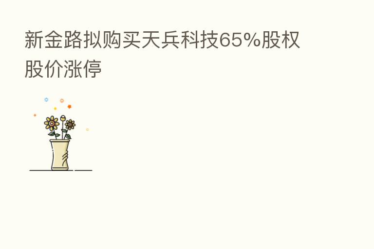 新金路拟购买天兵科技65%股权 股价涨停