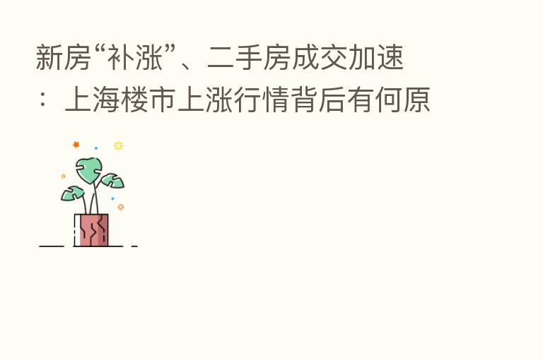 新房“补涨”、二手房成交加速:上海楼市上涨行情背后有何原因?
