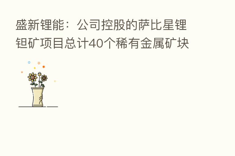 盛新锂能：公司控股的萨比星锂钽矿项目总计40个稀有金属矿块的采矿权证 针对其中5个矿权项目正在建设中