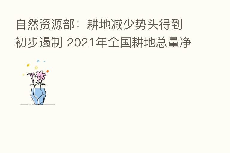 自然资源部:耕地减少势头得到初步遏制 2021年全国耕地总量净增加