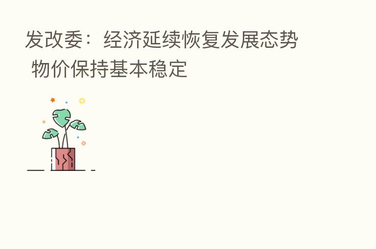 发改委：经济延续恢复发展态势 物价保持基本稳定