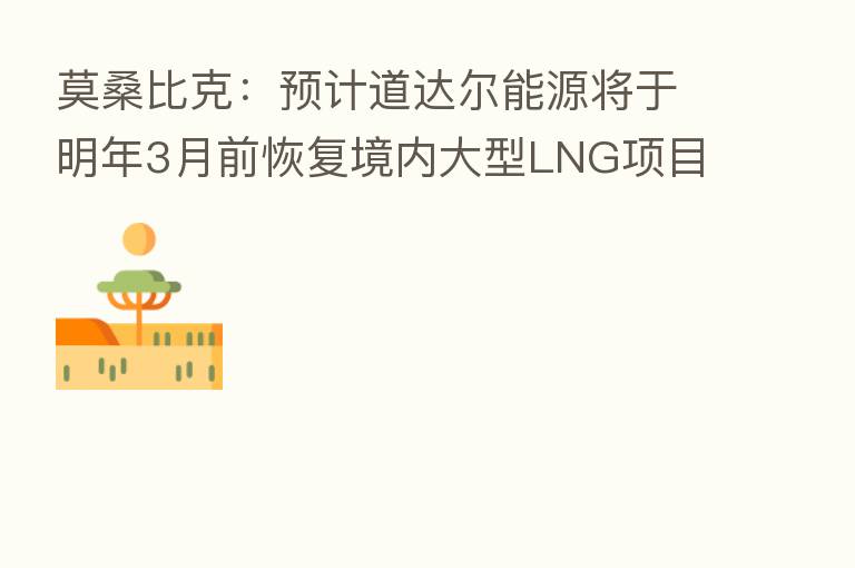莫桑比克：预计道达尔能源将于明年3月前恢复境内大型LNG项目