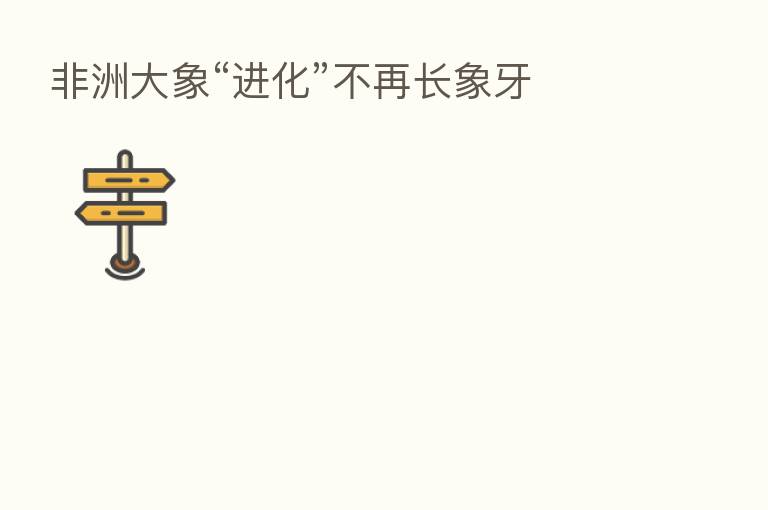 非洲大象“进化”不再长象牙