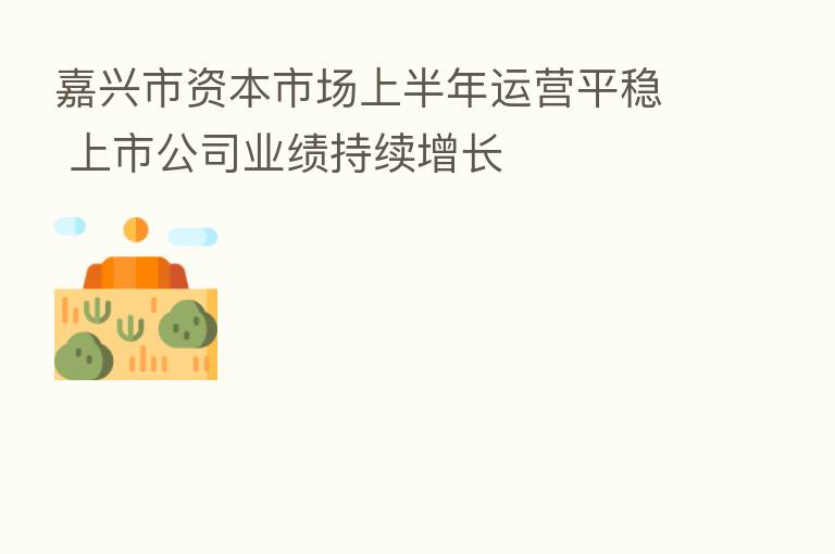 嘉兴市资本市场上半年运营平稳 上市公司业绩持续增长