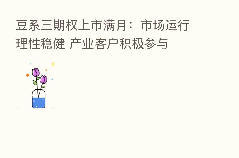 豆系三期权上市满月：市场运行理性稳健 产业客户积极参与