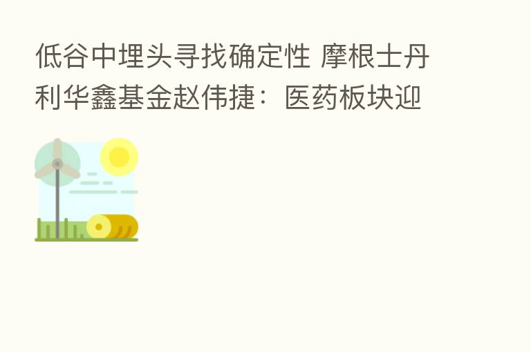 低谷中埋头寻找确定性 摩根士丹利华鑫基金赵伟捷：医药板块迎来底部布局时机 CXO正蓄力