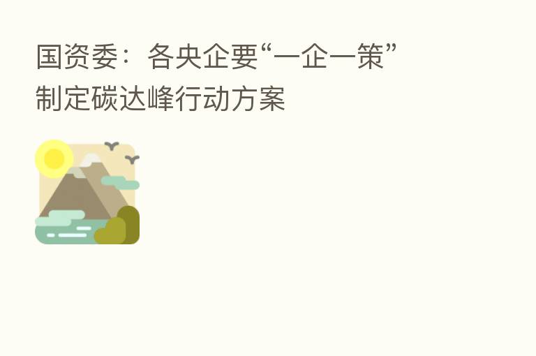 国资委:各央企要“一企一策”制定碳达峰行动方案