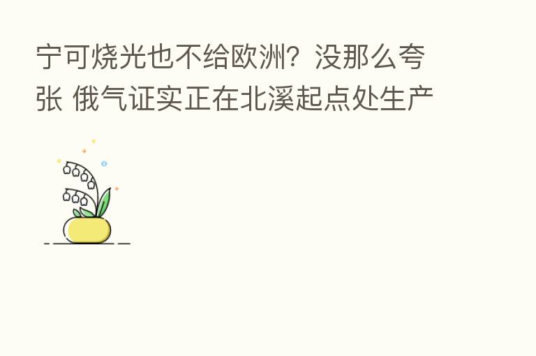 宁可烧光也不给欧洲？没那么夸张 俄气证实正在北溪起点处生产LNG