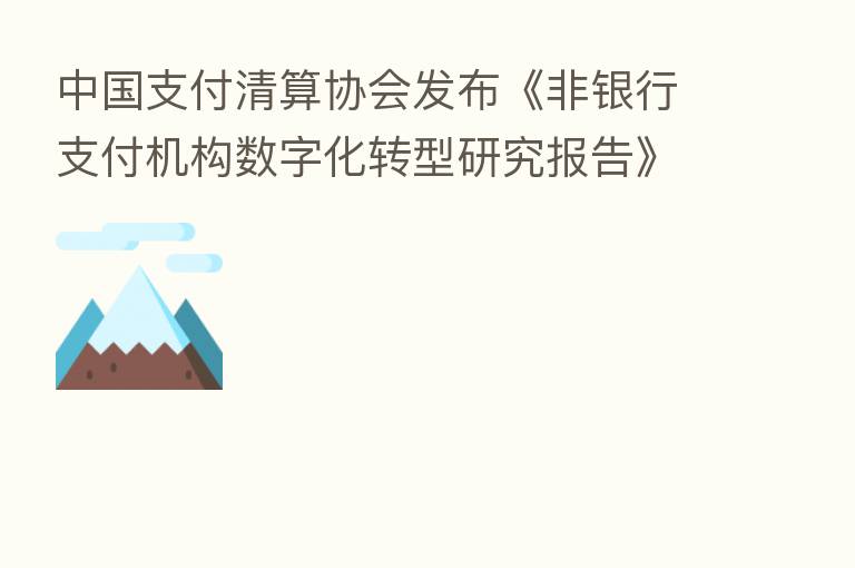 中国支付清算协会发布《非银行支付机构数字化转型研究报告》