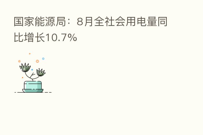 国家能源局:8月全社会用电量同比增长10.7%