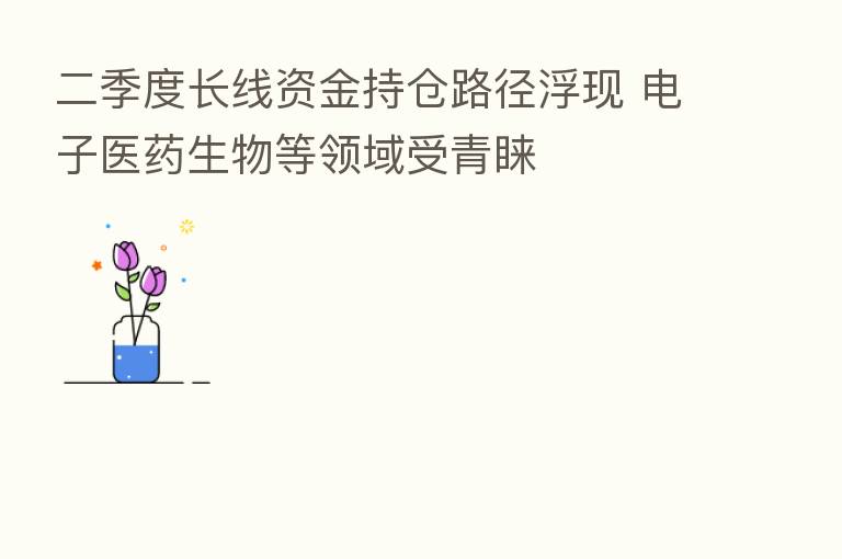 二季度长线资金持仓路径浮现 电子医药生物等领域受青睐