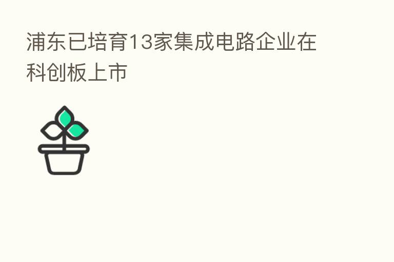 浦东已培育13家集成电路企业在科创板上市