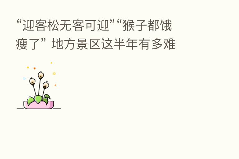 “迎客松无客可迎”“猴子都饿瘦了” 地方景区这半年有多难