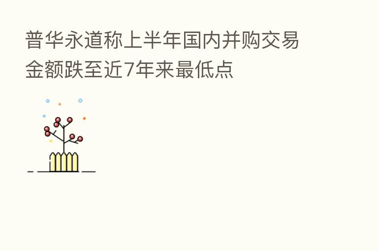 普华永道称上半年国内并购交易金额跌至近7年来 低点