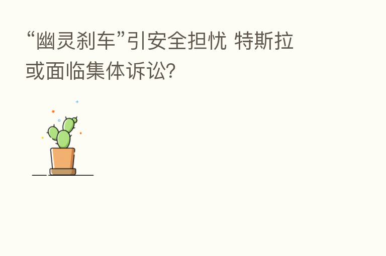 “幽灵刹车”引安全担忧 特斯拉或面临集体诉讼？