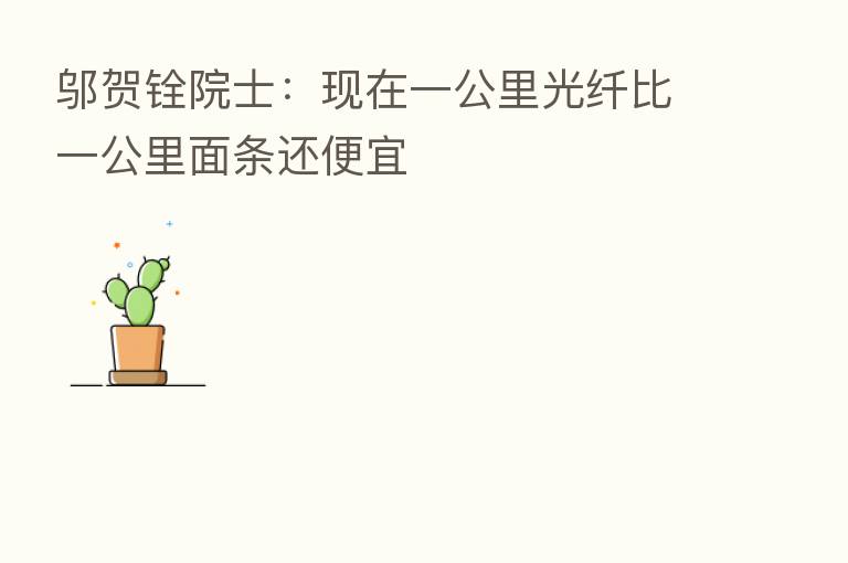 邬贺铨院士:现在一公里光纤比一公里面条还便宜