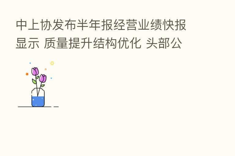 中上协发布半年报经营业绩快报显示 质量提升结构优化 头部公司继续领跑