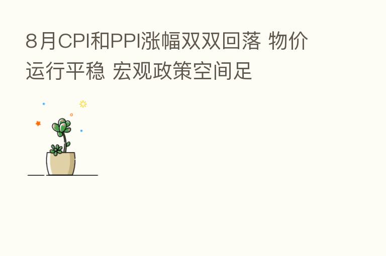 8月CPI和PPI涨幅双双回落 物价运行平稳 宏观政策空间足