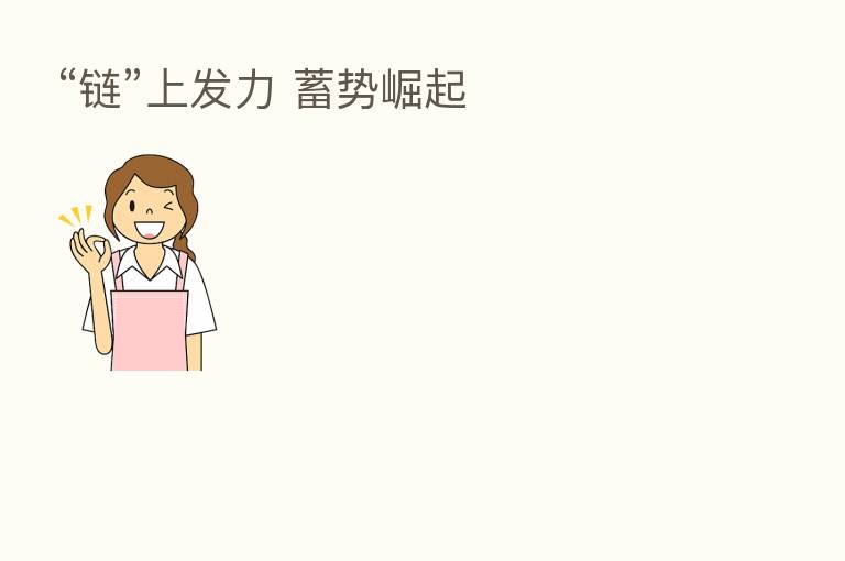 “链”上发力 蓄势崛起
