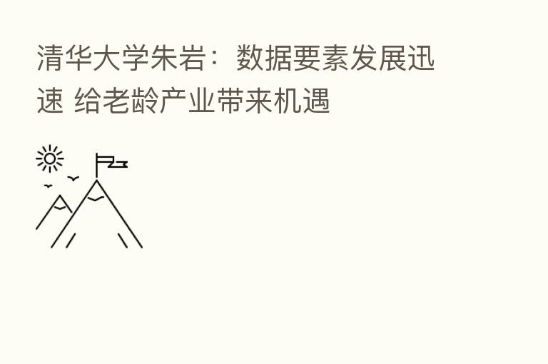清华大学朱岩：数据要素发展迅速 给老龄产业带来机遇