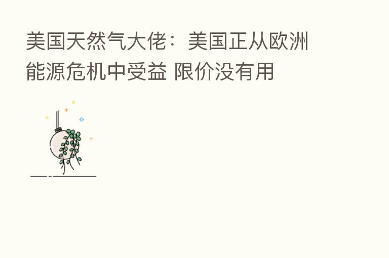美国天然气大佬：美国正从欧洲能源危机中受益 限价没有用