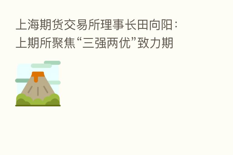 上海期货交易所理事长田向阳：上期所聚焦“三强两优”致力期货市场提质增效