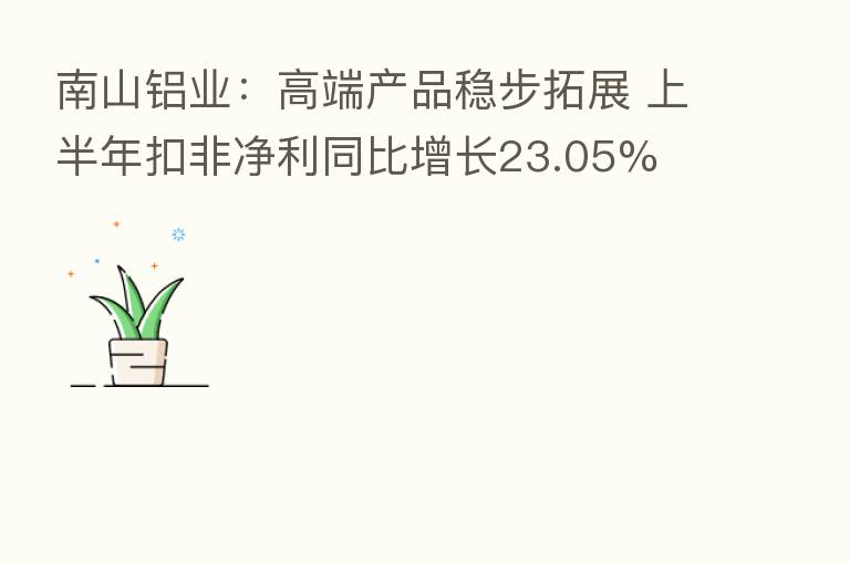 南山铝业:高端产品稳步拓展 上半年扣非净利同比增长23.05%
