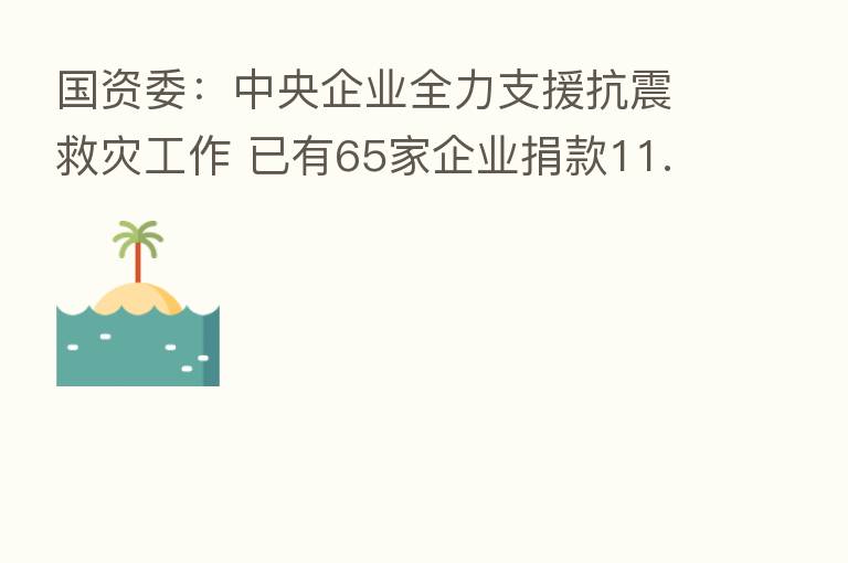 国资委:中央企业全力支援抗震救灾工作 已有65家企业捐款11.68亿元
