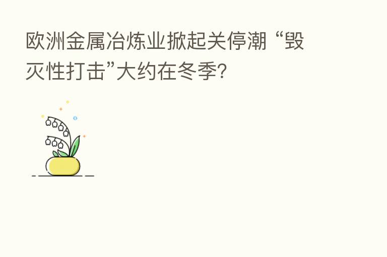 欧洲金属冶炼业掀起关停潮 “毁灭性打击”大约在冬季?