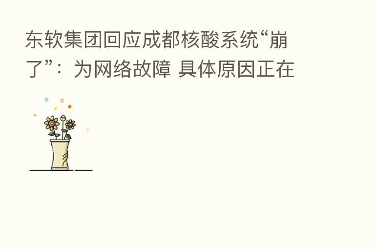 东软集团回应成都核酸系统“崩了”：为网络故障 具体原因正在排查
