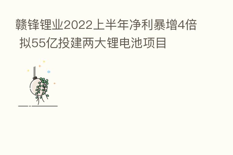赣锋锂业2022上半年净利暴增4倍 拟55亿投建两大锂电池项目
