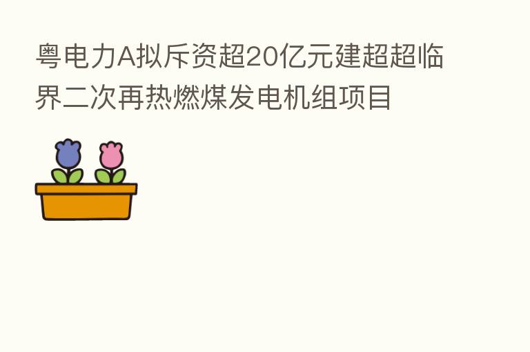 粤电力A拟斥资超20亿元建超超临界二次再热燃煤发电机组项目  按下能源结构优化“快进键”
