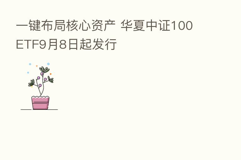 一键布局核心资产 华夏中证100ETF9月8日起发行