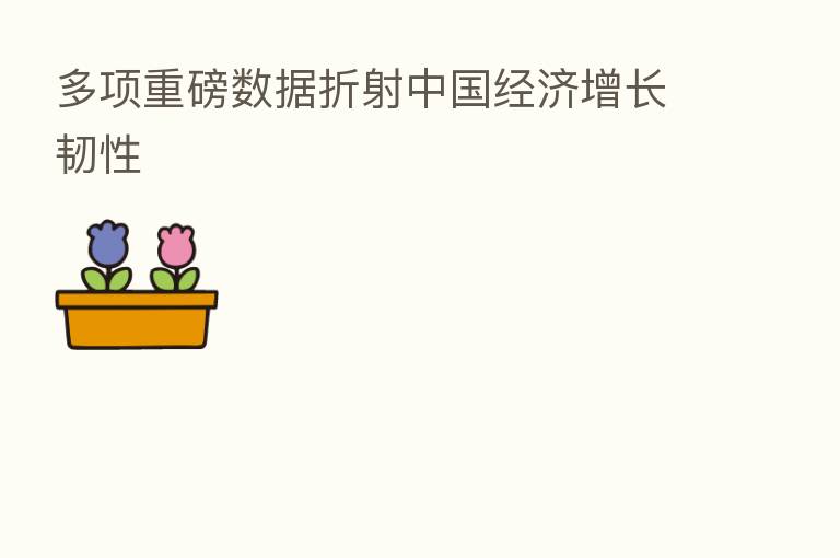 多项重磅数据折射中国经济增长韧性