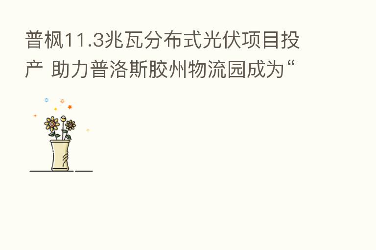 普枫11.3兆瓦分布式光伏项目投产 助力普洛斯胶州物流园成为“负碳园区”