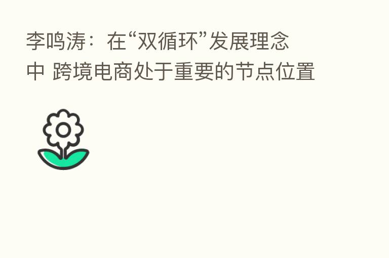 李鸣涛：在“双循环”发展理念中 跨境电商处于重要的节点位置